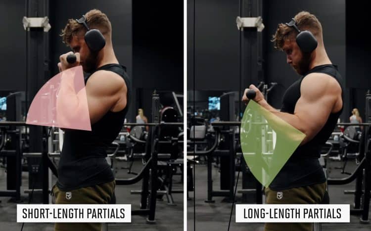 Long-Length Partial Reps for More Muscle Mass – Fitness Volt